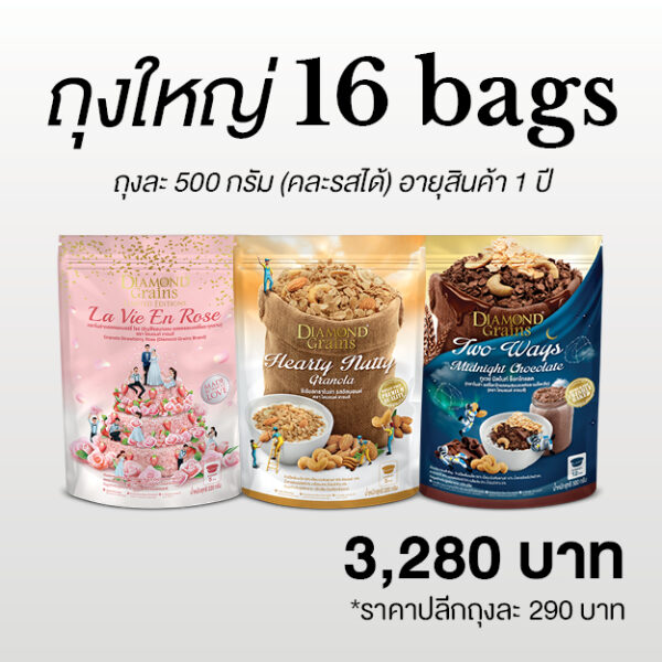 bag16